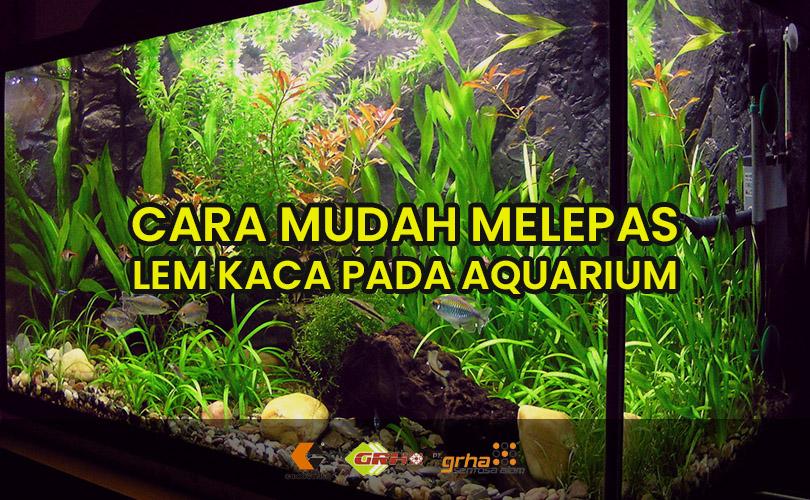 Cara Melepas Lem Kaca. Cara Mudah Melepas Lem Kaca pada Aquarium » Jual Lem Kaca