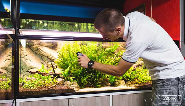 Cara Bersihkan Kaca Berkerak. 7 Cara Membersihkan Kaca Aquarium Berkerak dan Berlumut. Mudah!