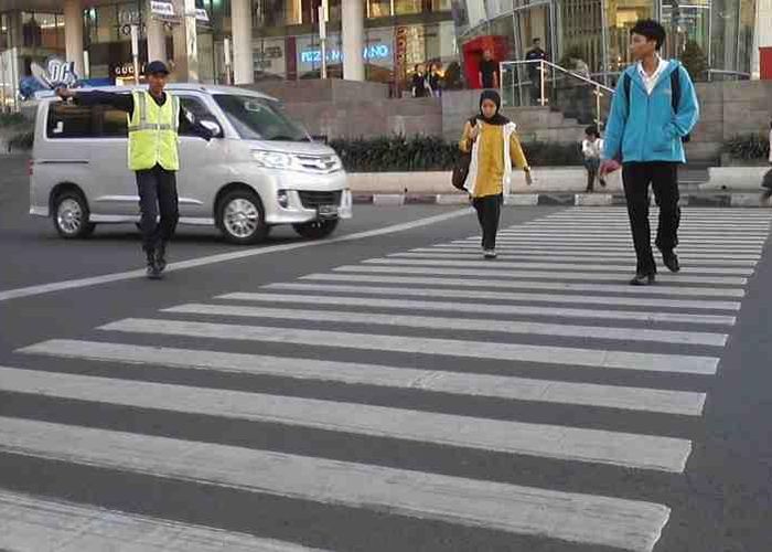 Apa Itu Zebra Cross. - Apa arti Zebra Cross