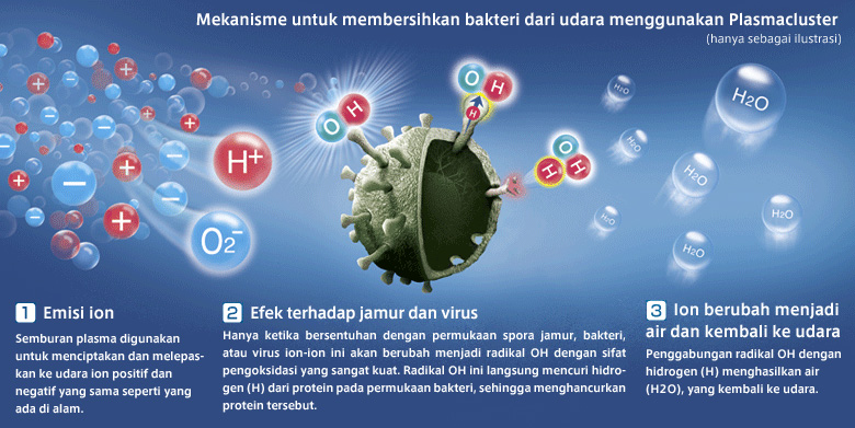 Fungsi Ion Pada Ac. Teknologi Plasmacluster Sharp Ion Positif dan Negatif Memurnikan