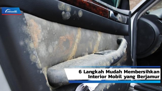 Cara Membersihkan Interior Mobil Yang Berjamur. Cara Membersihkan Interior Mobil yang Berjamur dengan Mudah