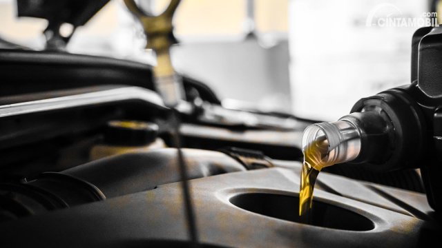 Oli Rush Berapa Liter. Varian Toyota Motor Oil (TMO) untuk Oli Standar Toyota Rush Anda