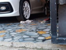 Harga Honda Brio Tahun 2011. Jual beli mobil Honda Brio Bekas tahun 2011 dengan di provinsi