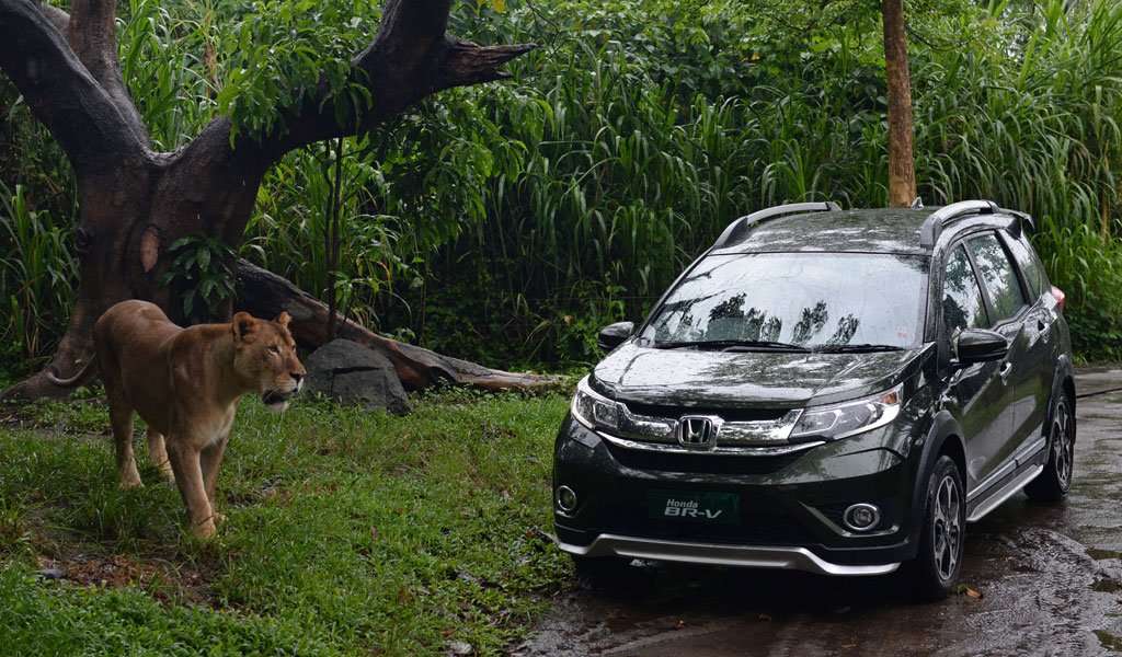 Suv Terbaik Di Indonesia 2016. Ini 8 SUV Paling Laris di Indonesia Tahun 2016