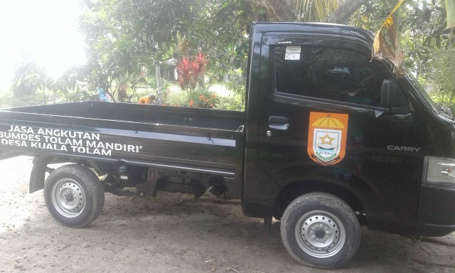 Usaha Angkutan Pick Up. Melalui BUMDes Desa Tolam Pelalawan Beli Pick UP untuk Jasa