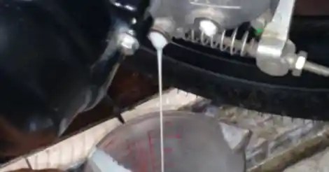 Penyebab Oli Mesin Berwarna Putih Susu. Oli Transmisi Motor Matic Berubah Warna Jadi Putih Susu, Ini