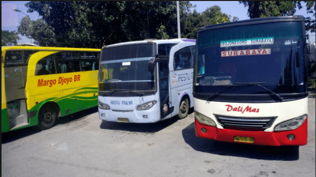 Macam Macam Bus Di Indonesia. Menguak Lebih Dalam Bus Non HD, HD, SHD, HDD, DG, Dan DD