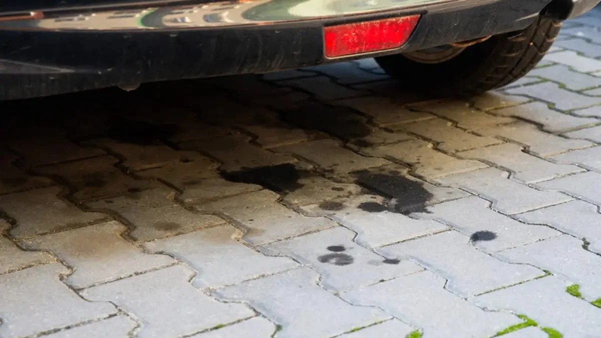 Penyebab Oli Gardan Mobil Rembes. Penyebab Oli Mesin Pada Mobil Rembes dan Cara Mengatasinya