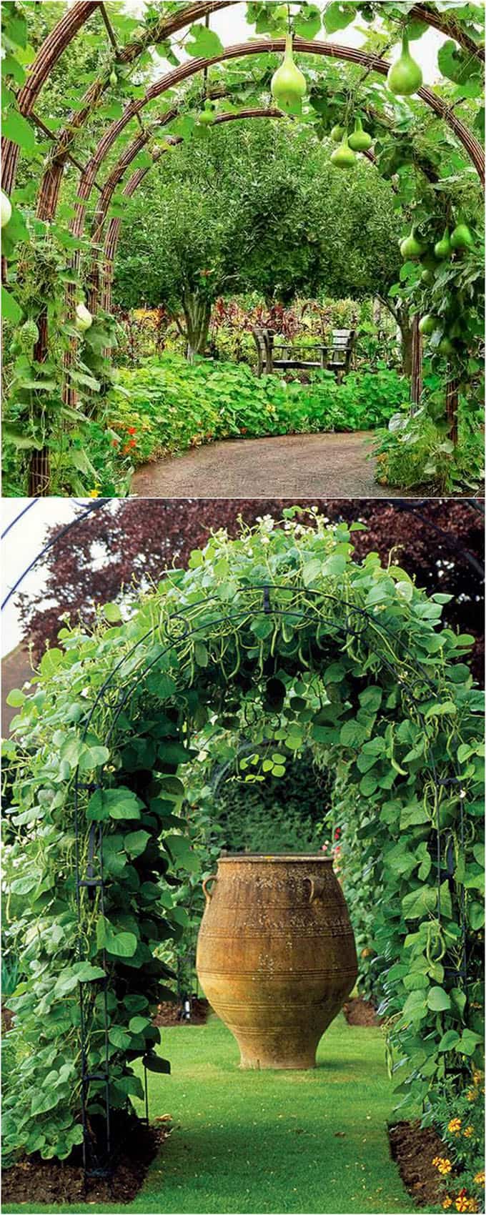 Gambar Letak Dinamo Starter Avanza. Secret Garden Arbor 8 Images