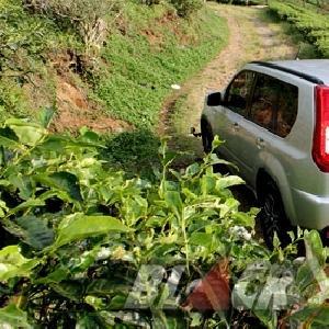 Nissan Xtrail Urban Selection. New Nissan X-Trail Urban Selection Semakin Sporty dan Nyaman