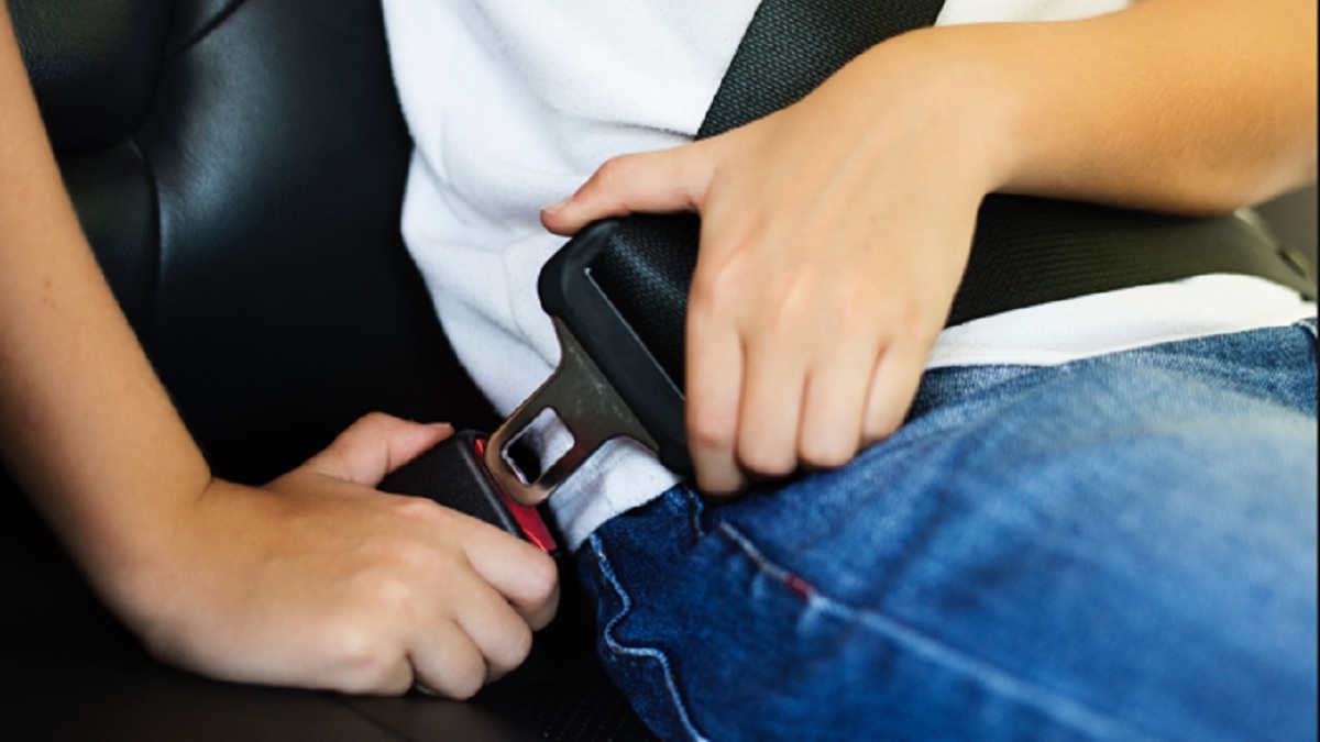 Seat Belt Mobil Macet. Seal Belt Macet, Begini Fungsi dan Cara Membersihkannya dari