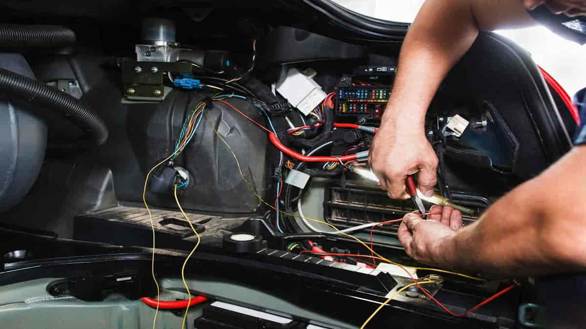 Kabel Mobil Digigit Tikus. Mencegah Kabel Mobil digigit Tikus Agar Bisa Bertahan Lama dan
