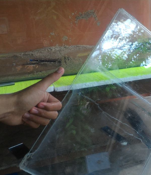 Cara Melepas Lem Kaca. √ Cara Melepas Lem Kaca, Bongkar Aquarium