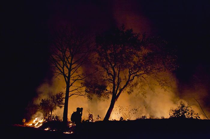 Penyebab Kebakaran Di California. Salah urus tidak bisa disalahkan atas kebakaran hutan California