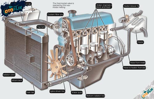 Bagian Bagian Radiator Dan Fungsinya. 9 Komponen Radiator Mobil : Cara Kerja Beserta Fungsinya 2022