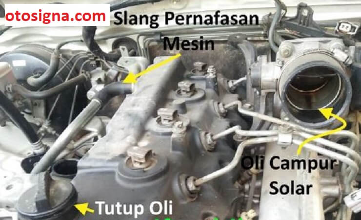 Mesin Diesel Keluar Asap Dari Tutup Oli. Mesin Diesel Keluar Asap Dari Tutup Oli: Penyebab & Cara