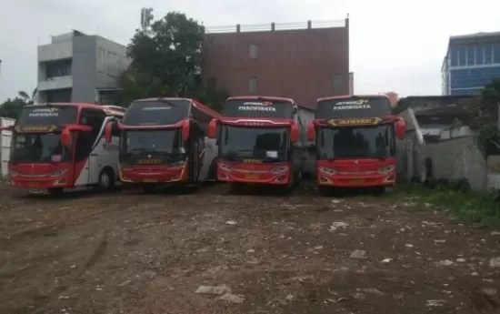 Jenis Bus Di Indonesia. Sebelum Anda Rental Bus, Kenali Dulu Jenis-jenis Bus Berikut